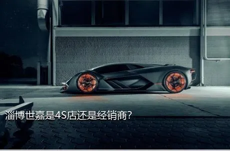 淄博世嘉是4S店还是经销商？