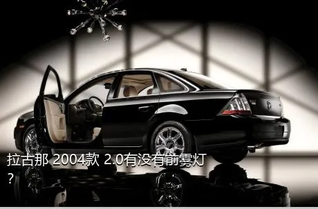 拉古那 2004款 2.0有没有前雾灯？