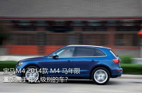 宝马M4 2014款 M4 马年限量版属于什么级别的车？