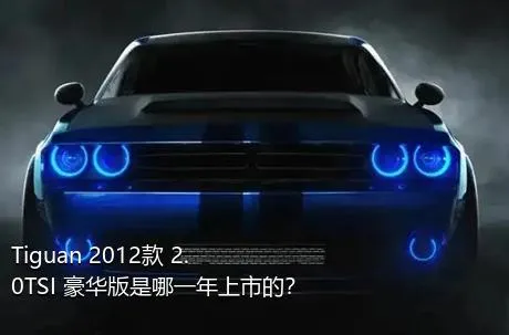 Tiguan 2012款 2.0TSI 豪华版是哪一年上市的？