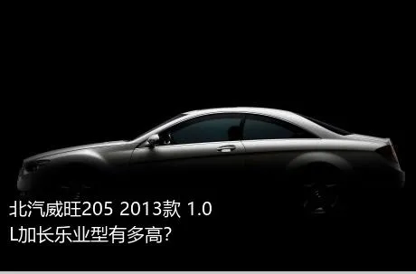 北汽威旺205 2013款 1.0L加长乐业型有多高？