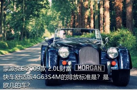 蒙派克E 2009款 2.0L财富快车舒适版4G63S4M的排放标准是？是欧几的车？