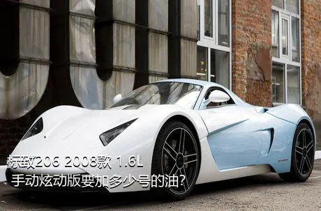 标致206 2008款 1.6L 手动炫动版要加多少号的油？