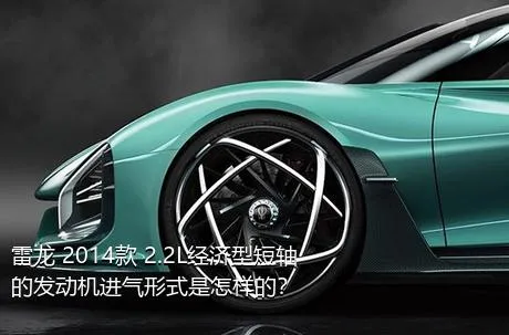 雷龙 2014款 2.2L经济型短轴的发动机进气形式是怎样的？