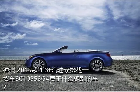 神骐 2015款 1.3L汽油双排载货车SC1035SG4属于什么级别的车？