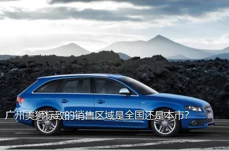 广州美狮标致的销售区域是全国还是本市？