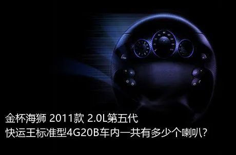 金杯海狮 2011款 2.0L第五代快运王标准型4G20B车内一共有多少个喇叭？