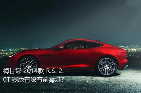 梅甘娜 2014款 R.S. 2.0T 赛版有没有前雾灯？