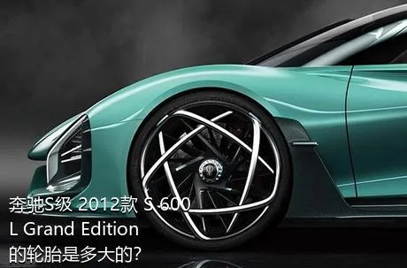 奔驰S级 2012款 S 600 L Grand Edition的轮胎是多大的？