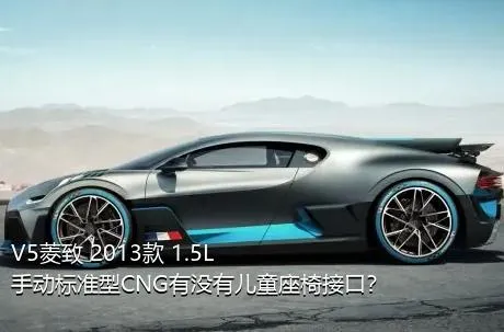 V5菱致 2013款 1.5L 手动标准型CNG有没有儿童座椅接口？