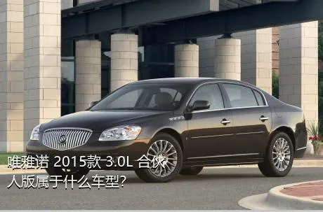 唯雅诺 2015款 3.0L 合伙人版属于什么车型？