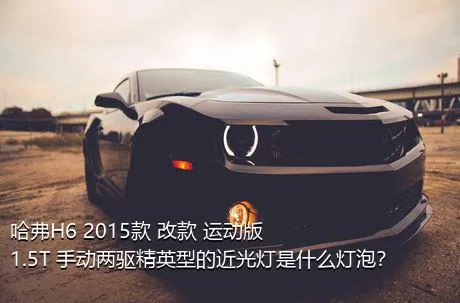 哈弗H6 2015款 改款 运动版 1.5T 手动两驱精英型的近光灯是什么灯泡？