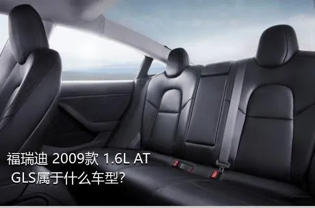 福瑞迪 2009款 1.6L AT GLS属于什么车型？