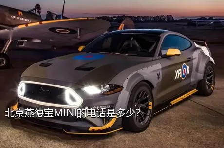 北京燕德宝MINI的电话是多少？