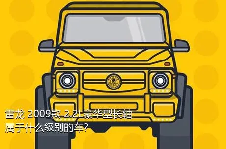 雷龙 2009款 2.2L豪华型长轴属于什么级别的车？