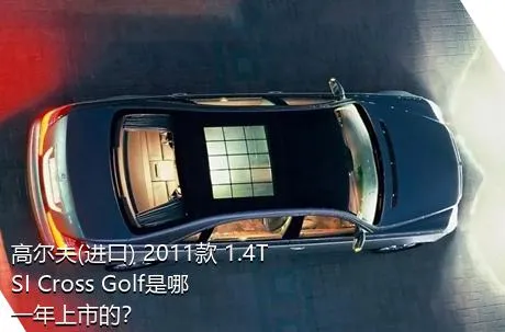 高尔夫(进口) 2011款 1.4TSI Cross Golf是哪一年上市的？