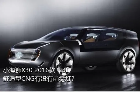 小海狮X30 2016款 1.3L舒适型CNG有没有前雾灯？
