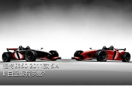福特E350 2011款 5.4L 白金版有多宽？