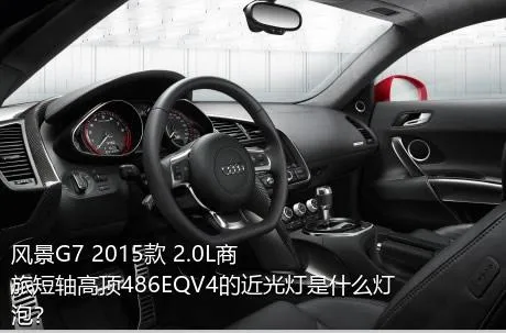 风景G7 2015款 2.0L商旅短轴高顶486EQV4的近光灯是什么灯泡？