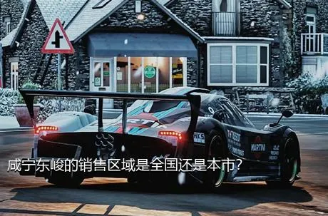 咸宁东峻的销售区域是全国还是本市？