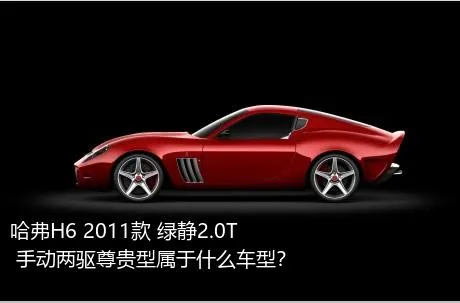 哈弗H6 2011款 绿静2.0T 手动两驱尊贵型属于什么车型？