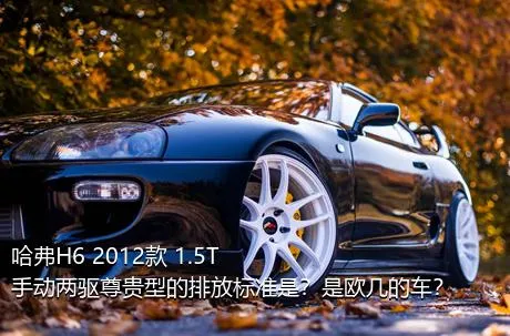 哈弗H6 2012款 1.5T 手动两驱尊贵型的排放标准是？是欧几的车？