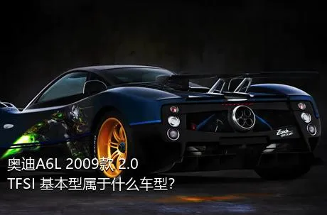 奥迪A6L 2009款 2.0 TFSI 基本型属于什么车型？