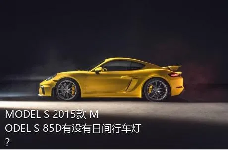MODEL S 2015款 MODEL S 85D有没有日间行车灯？