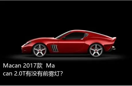 Macan 2017款  Macan 2.0T有没有前雾灯？