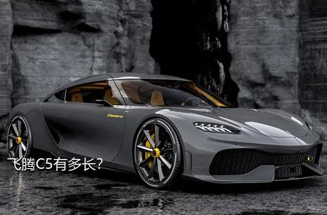 飞腾C5有多长？