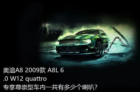 奥迪A8 2009款 A8L 6.0 W12 quattro 专享尊崇型车内一共有多少个喇叭？