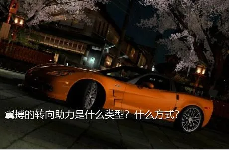 翼搏的转向助力是什么类型？什么方式？