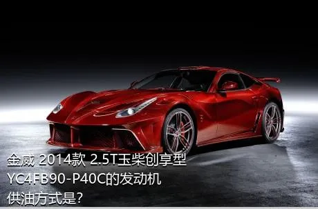 金威 2014款 2.5T玉柴创享型YC4FB90-P40C的发动机供油方式是？