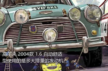 高尔夫 2004款 1.6 自动舒适型使用的是多大排量的发动机？
