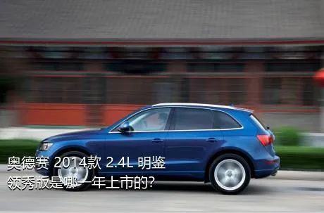 奥德赛 2014款 2.4L 明鉴领秀版是哪一年上市的？