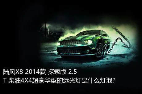 陆风X8 2014款 探索版 2.5T 柴油4X4超豪华型的远光灯是什么灯泡？