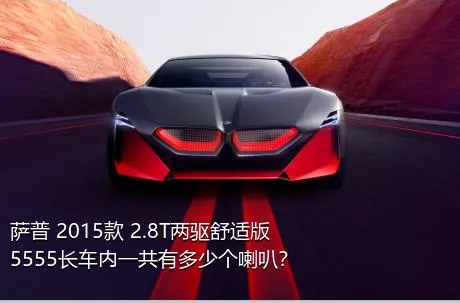 萨普 2015款 2.8T两驱舒适版5555长车内一共有多少个喇叭？