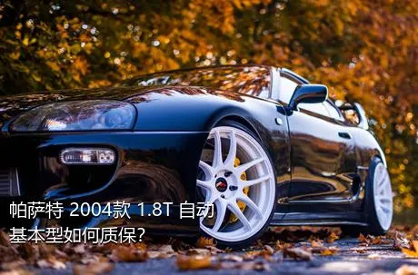 帕萨特 2004款 1.8T 自动基本型如何质保？