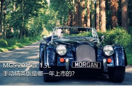 MG5 2015款 1.5L 手动精英版是哪一年上市的？