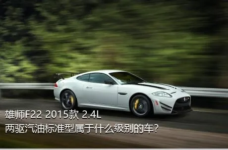 雄师F22 2015款 2.4L两驱汽油标准型属于什么级别的车？