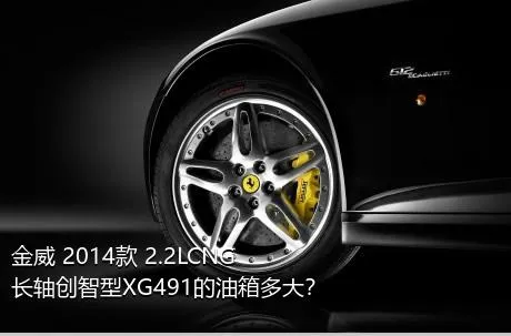 金威 2014款 2.2LCNG长轴创智型XG491的油箱多大？