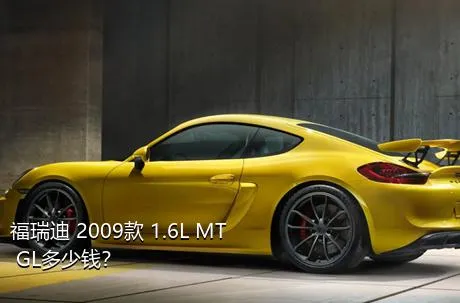 福瑞迪 2009款 1.6L MT GL多少钱？