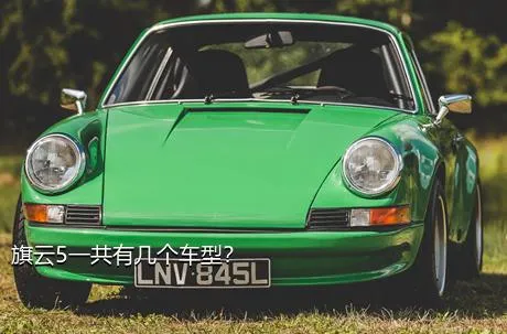 旗云5一共有几个车型？
