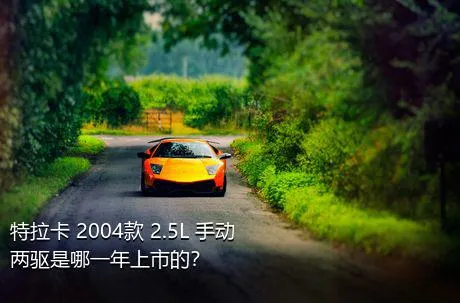 特拉卡 2004款 2.5L 手动两驱是哪一年上市的？