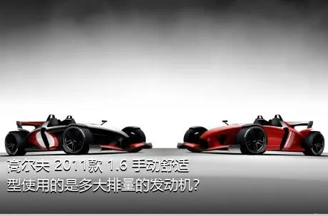 高尔夫 2011款 1.6 手动舒适型使用的是多大排量的发动机？