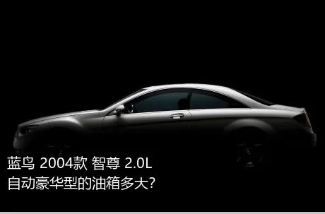 蓝鸟 2004款 智尊 2.0L 自动豪华型的油箱多大？