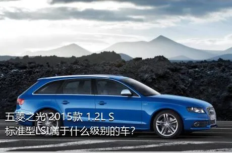 五菱之光 2015款 1.2L S标准型LSI属于什么级别的车？