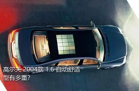 高尔夫 2004款 1.6 自动舒适型有多重？