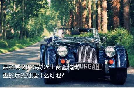 昂科威 2016款 20T 两驱精英型的远光灯是什么灯泡？