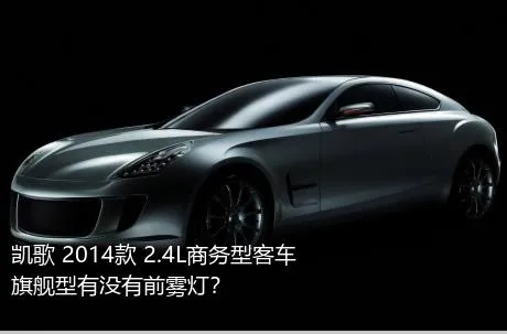凯歌 2014款 2.4L商务型客车旗舰型有没有前雾灯？